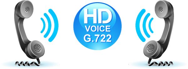VIP-HD-voice_L.jpg